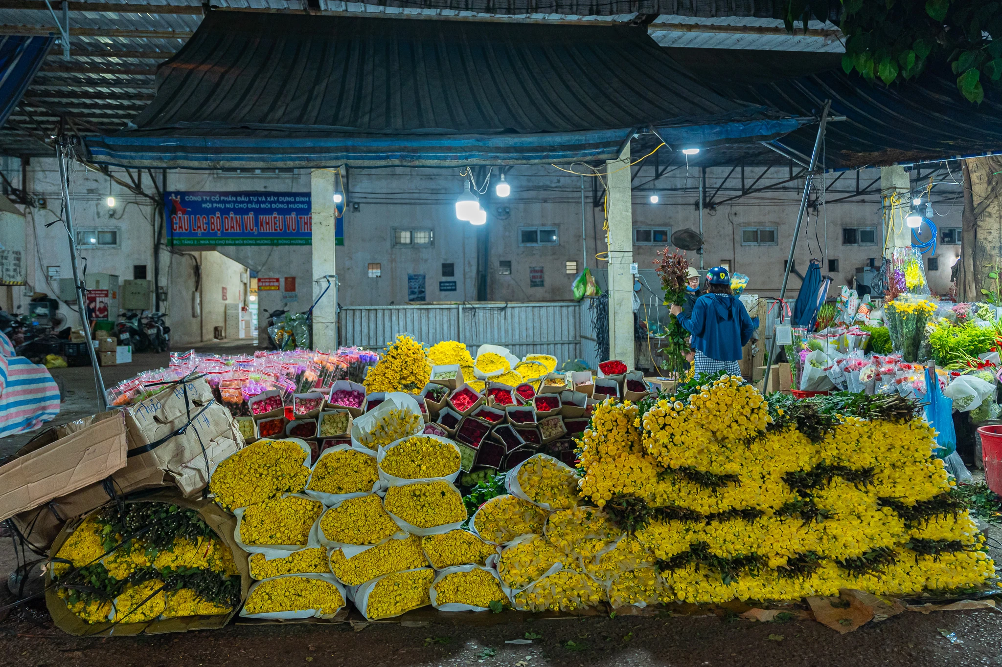 Phía sau những mùa hoa thức muộn