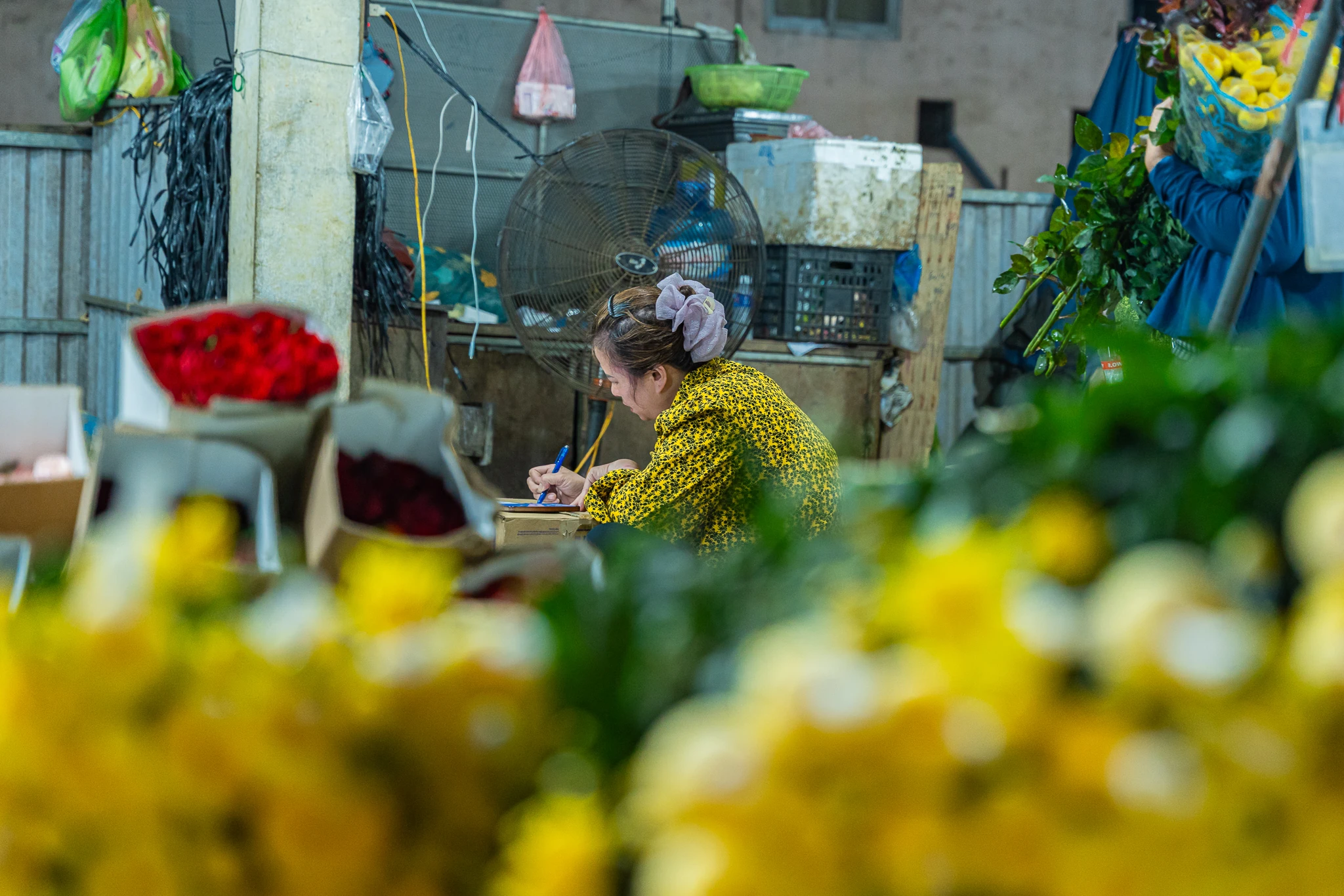 Phía sau những mùa hoa thức muộn