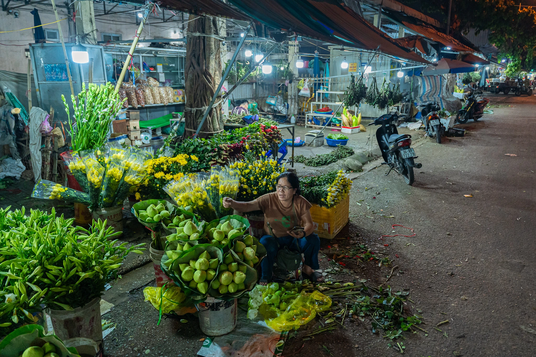 Phía sau những mùa hoa thức muộn