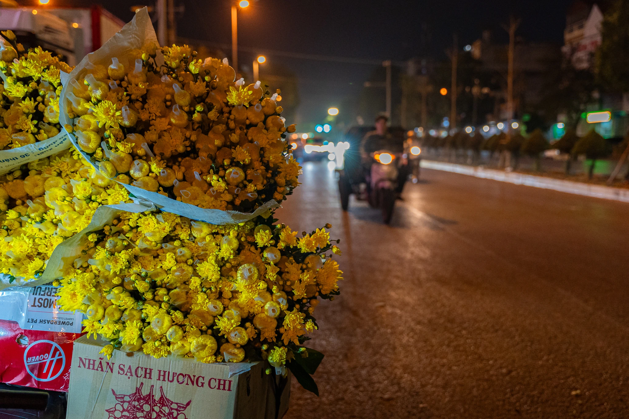 Phía sau những mùa hoa thức muộn