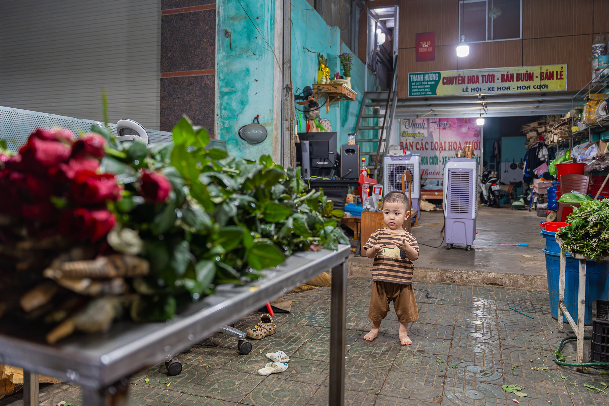 Phía sau những mùa hoa thức muộn