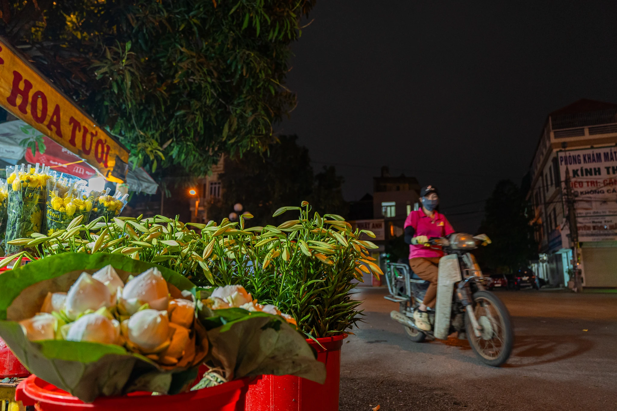 Phía sau những mùa hoa thức muộn