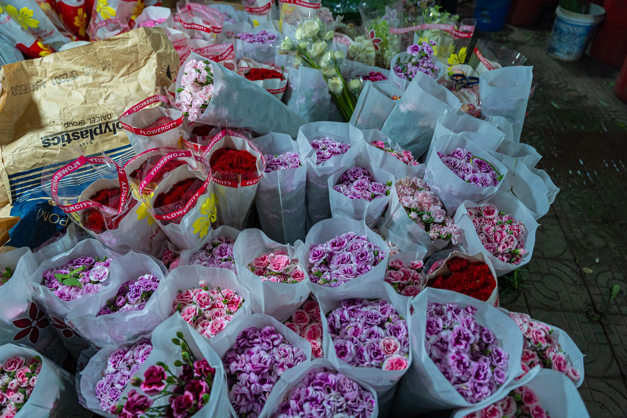 Phía sau những mùa hoa thức muộn