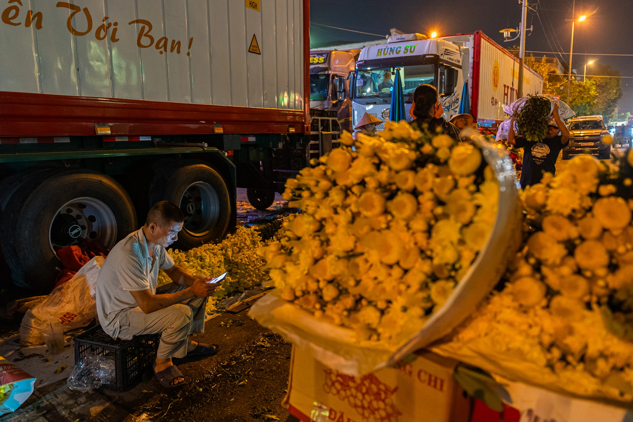 Phía sau những mùa hoa thức muộn