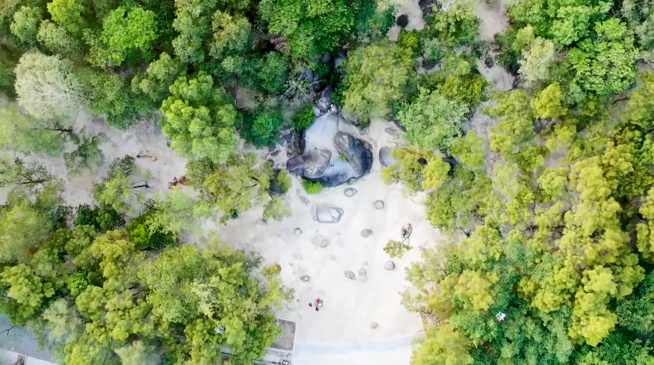 Biển hát tình ca