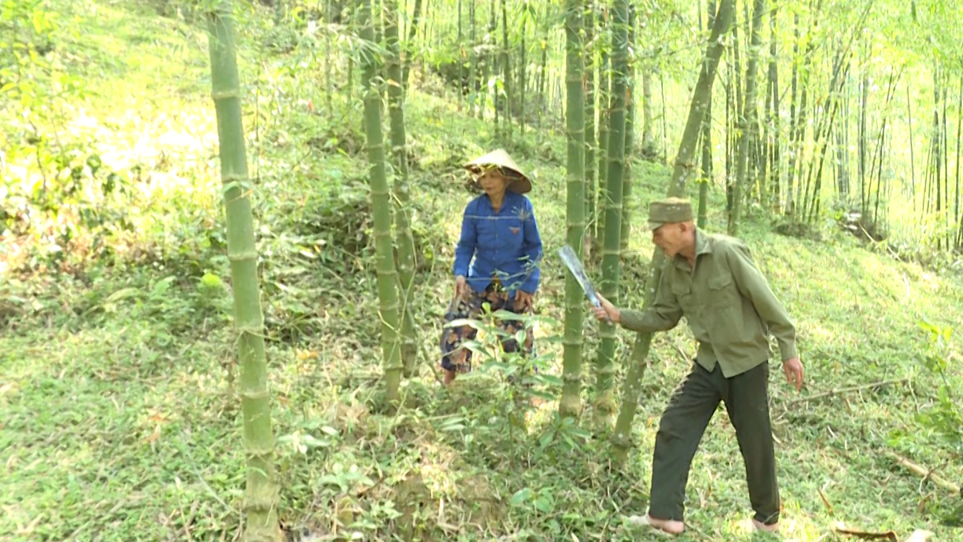 Gieo mồ hôi trên đất dốc, thu trái ngọt