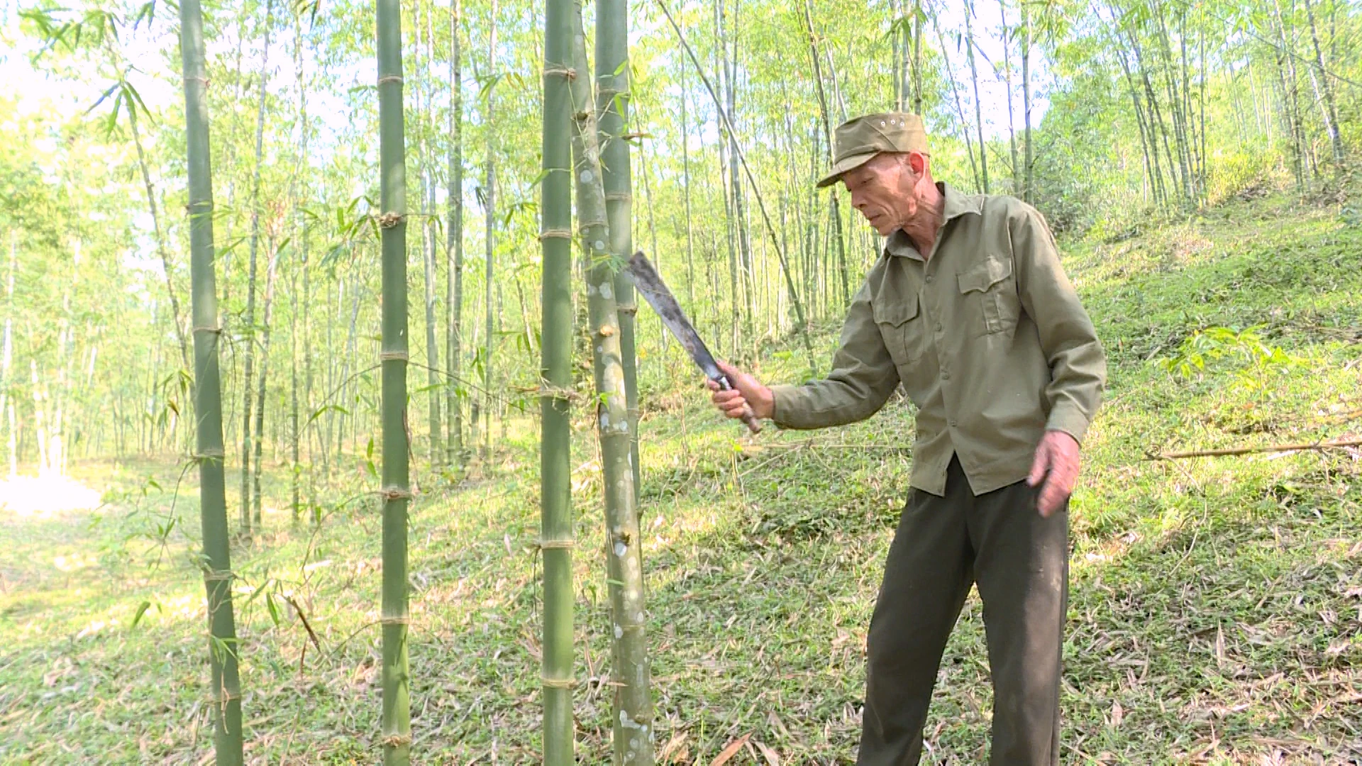 Gieo mồ hôi trên đất dốc, thu trái ngọt