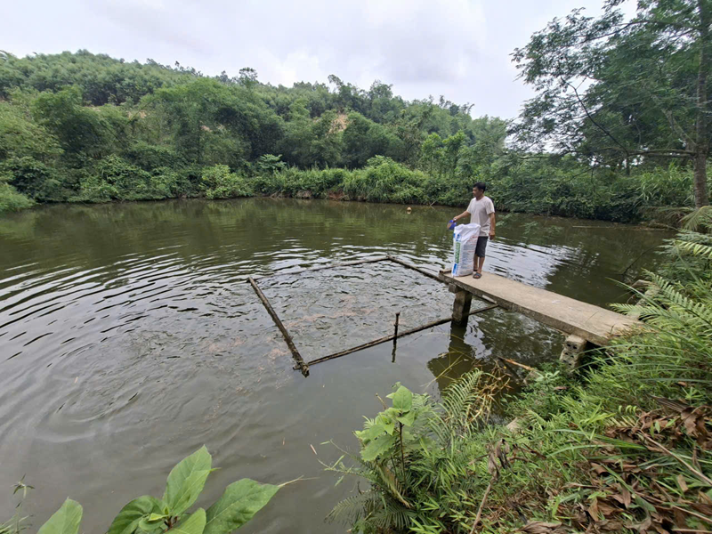 Hồi sinh vùng đất khó