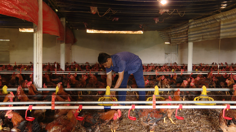 Hồi sinh vùng đất khó