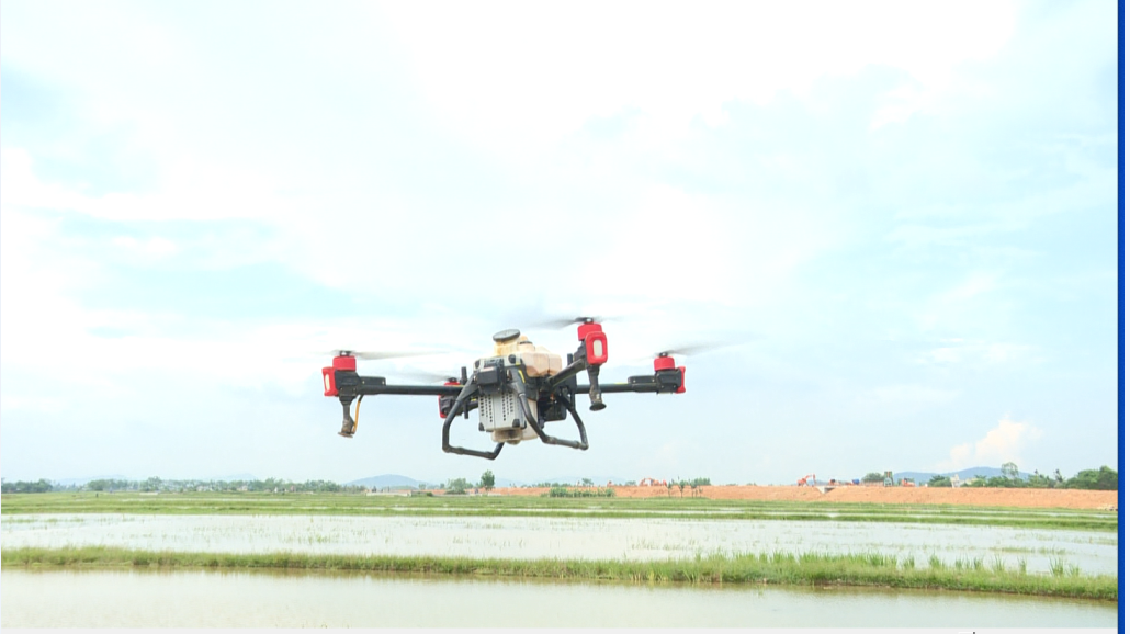 Nơi nông dân liên kết, hợp tác và chia sẻ rủi ro