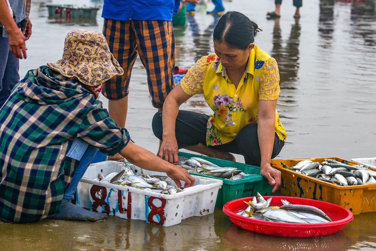 Sớm làng chài xứ Thanh: Nhịp sống thức dậy cùng vị mặn biển