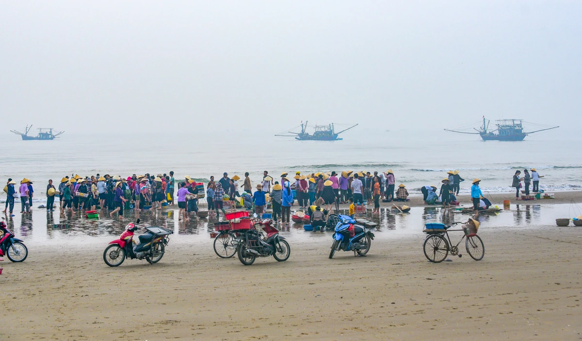 Sớm làng chài xứ Thanh: Nhịp sống thức dậy cùng vị mặn biển