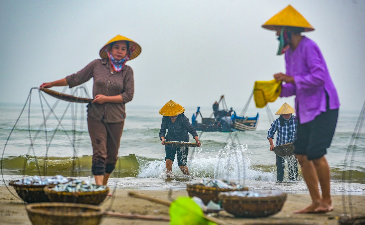 Sớm làng chài xứ Thanh: Nhịp sống thức dậy cùng vị mặn biển