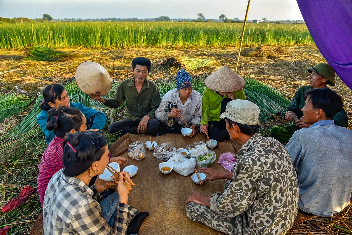 Trên đồng cói xứ Thanh: Khi ngày mới dệt lên từ sương và gió