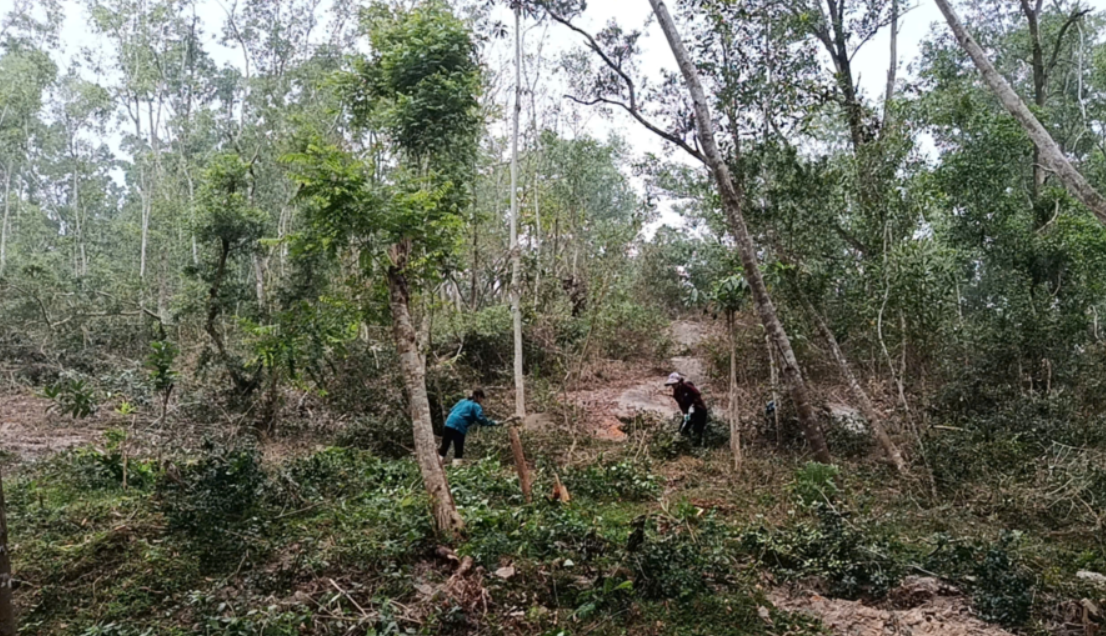 Giữ màu xanh núi Trường Lệ trong mùa du lịch