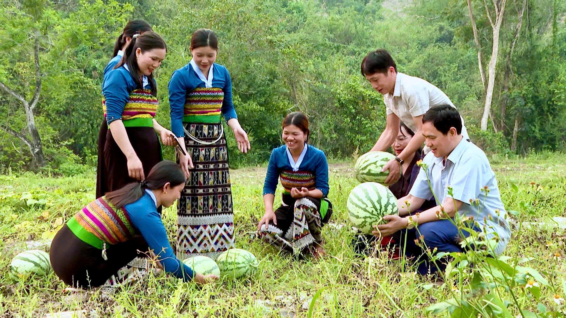 Mùa dưa ở bản Sáng