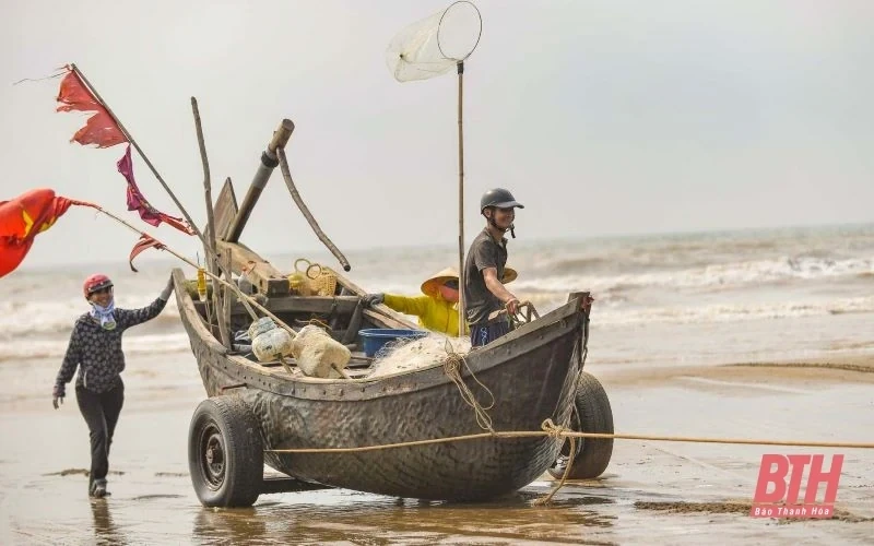 [Thanh Hóa xưa và nay] Làng chài Vinh Sơn: Nét bình yên giữa lòng phố biển