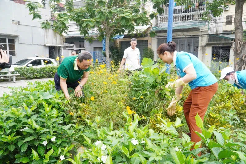 Chung sức làm đẹp cảnh quan đô thị, xây dựng phường Hạc Thành “sáng-xanh-sạch-đẹp”