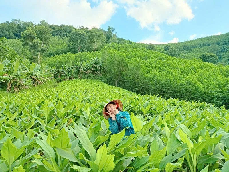 Luồng gió mới trong khởi nghiệp ở vùng cao