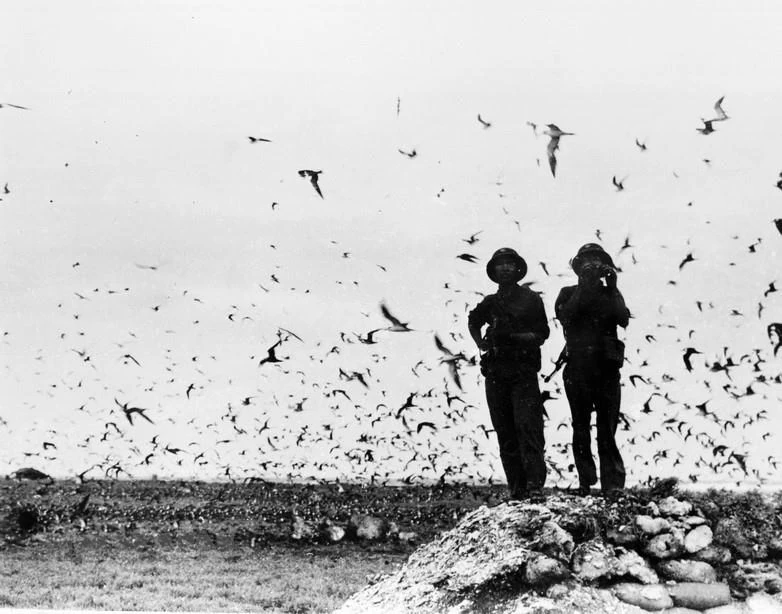 Ngày này năm xưa (29/4): Quần đảo Trường Sa được hoàn toàn giải phóng