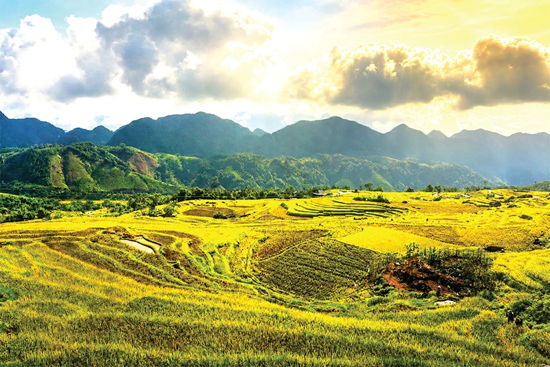 Du lịch giá rẻ