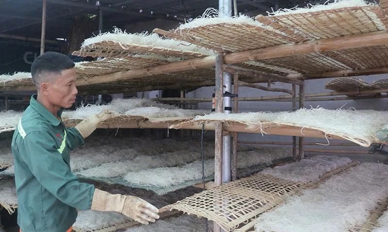 Xây dựng thương hiệu cho sản phẩm miến dong truyền thống