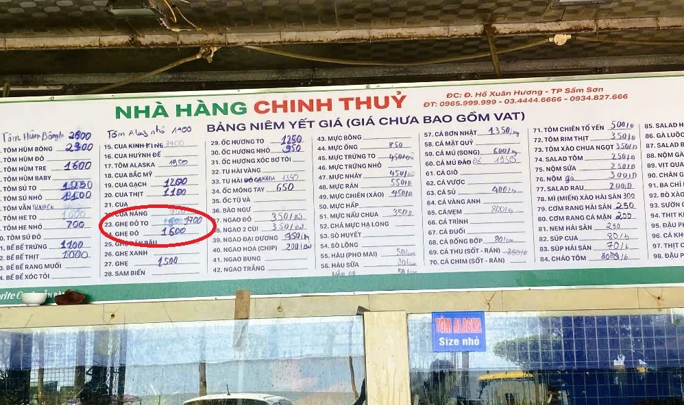 Định kiến và kiểm chứng