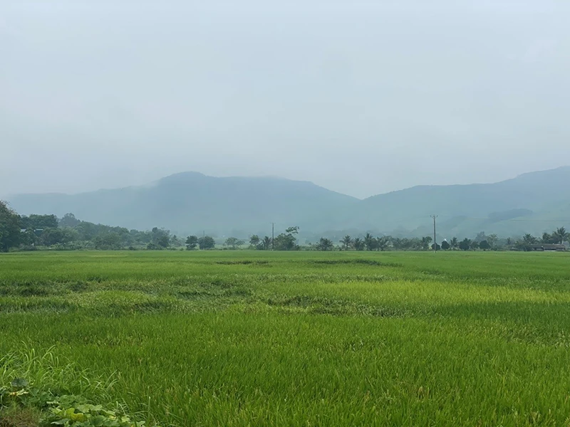 Chuyện kể về Mai Bá Nghiễm trên quê hương Đông Biện