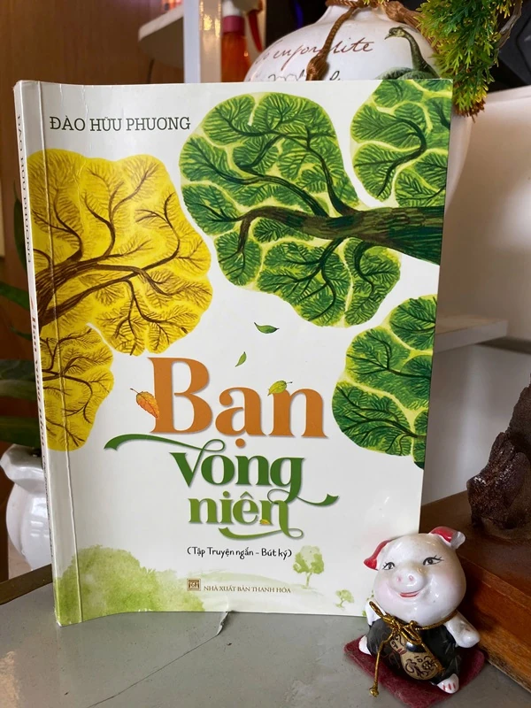 Bạn vong niên – Bản hòa ca của ký ức và tình người