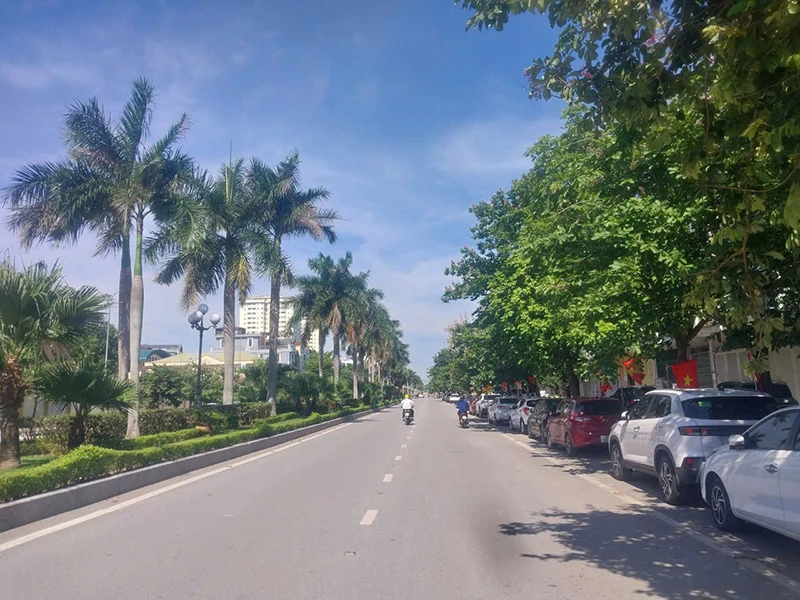 “Khoảng trống” màu xanh (Bài 1): Đô thị có “khát xanh”?