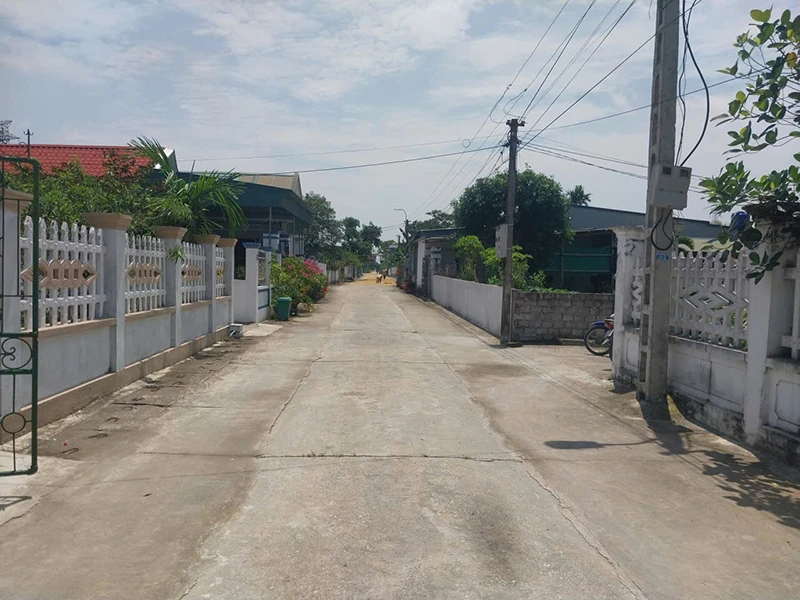 “Khoảng trống” màu xanh (Bài 2): Liệu bóng mát làng quê có thành ký ức?