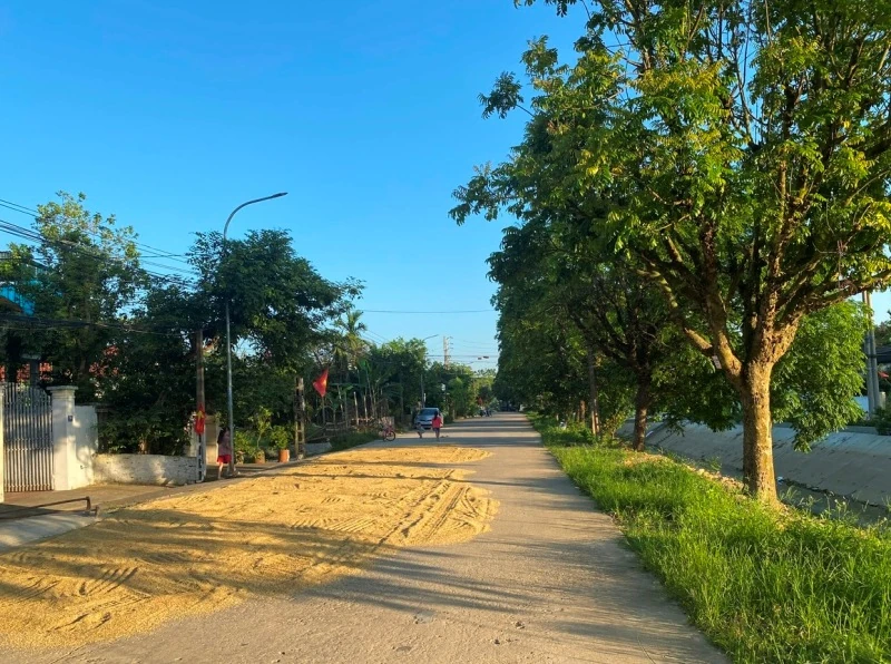 Cái lý - Cái tình xin đừng tùy tiện
