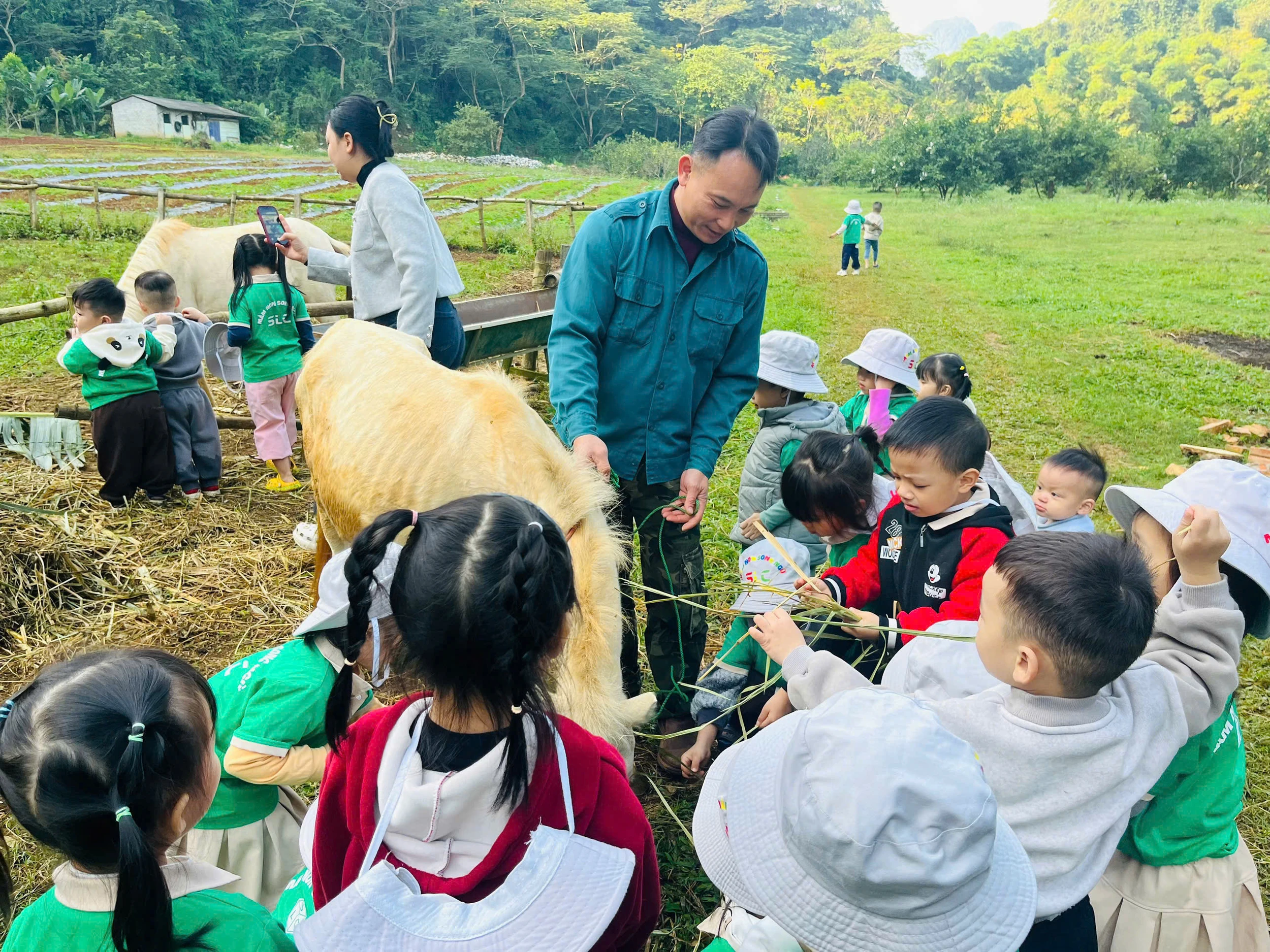 Khởi nghiệp farmstay từ tình yêu núi rừng