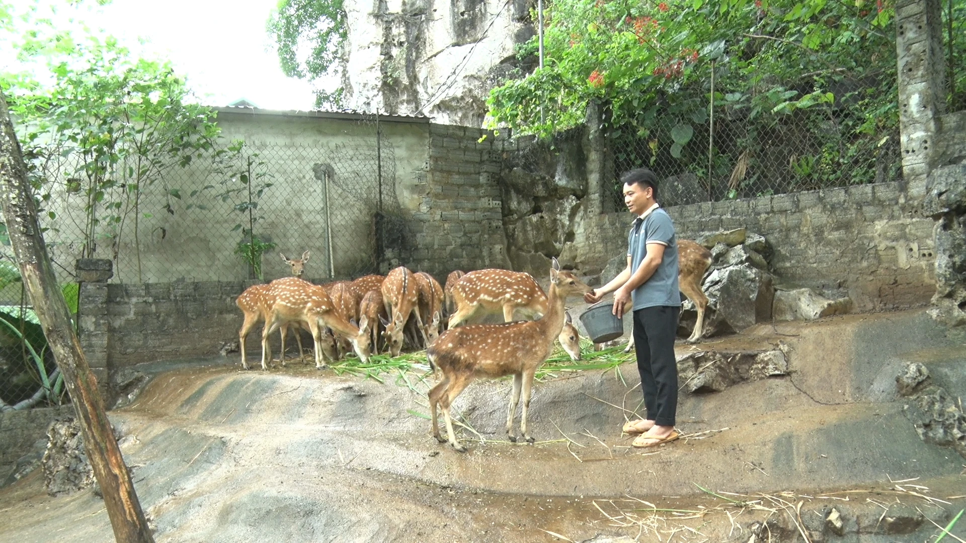 Khởi nghiệp farmstay từ tình yêu núi rừng