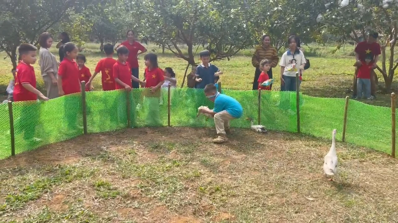 Khởi nghiệp farmstay từ tình yêu núi rừng