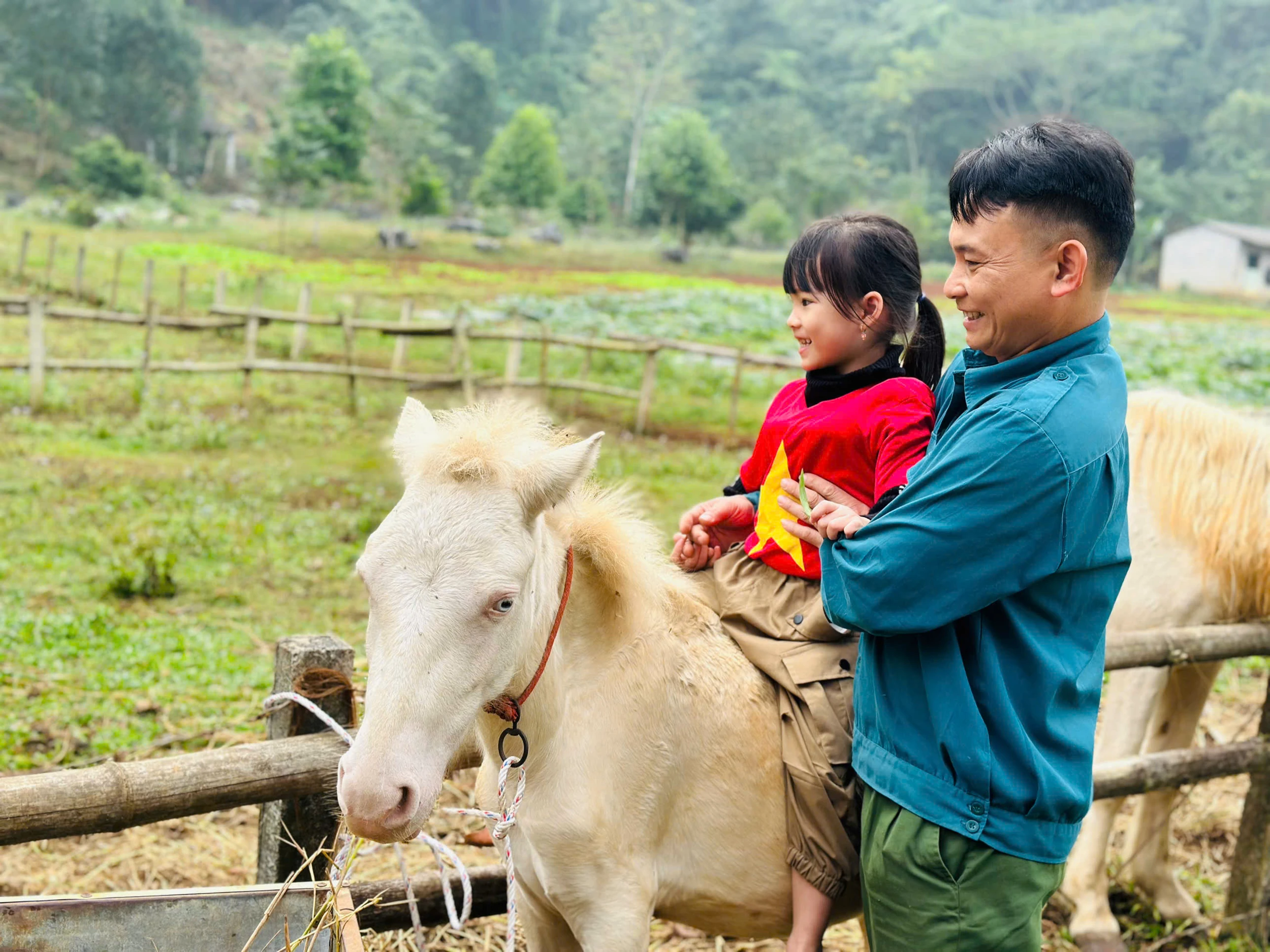 Khởi nghiệp farmstay từ tình yêu núi rừng