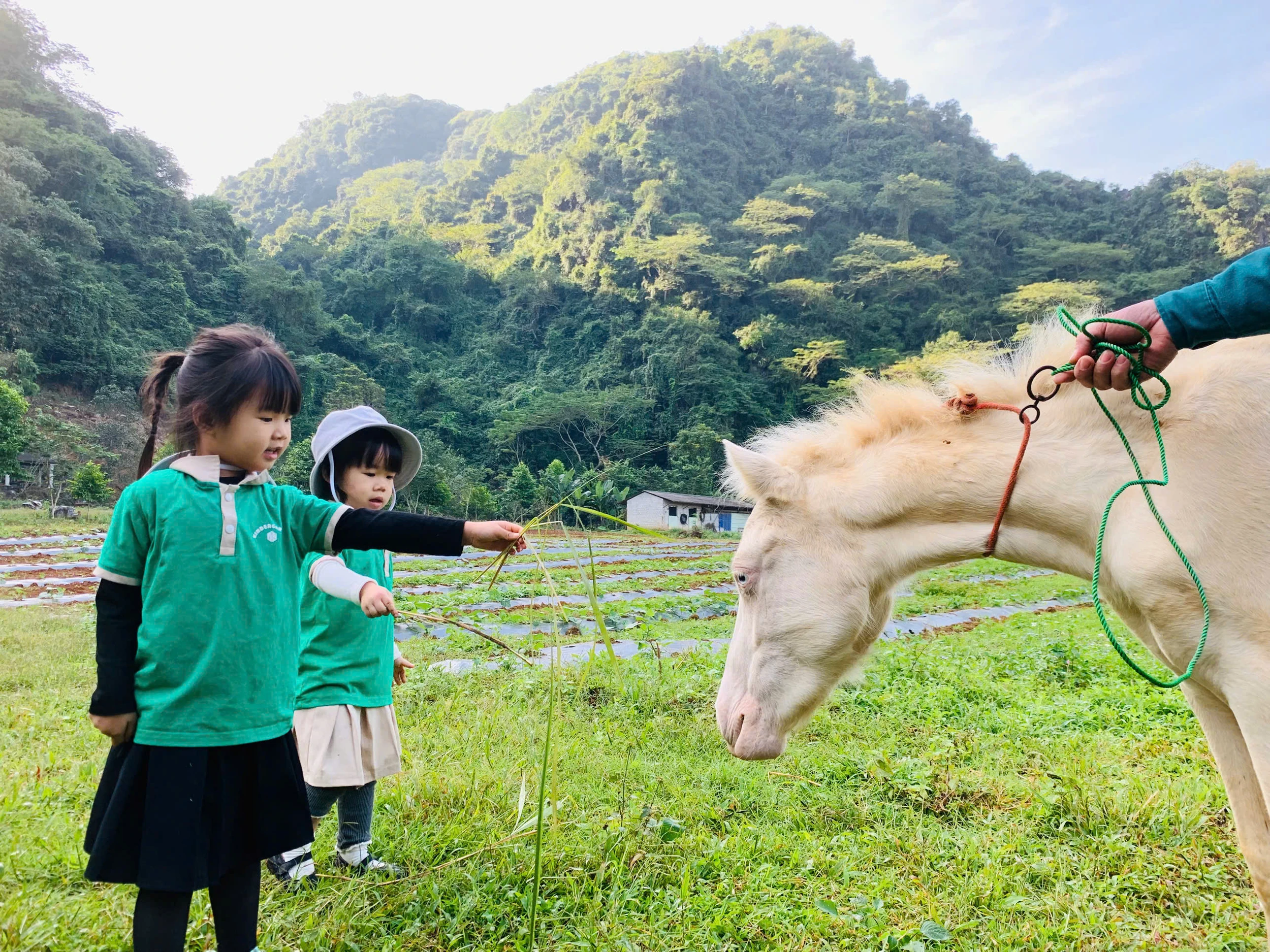Khởi nghiệp farmstay từ tình yêu núi rừng