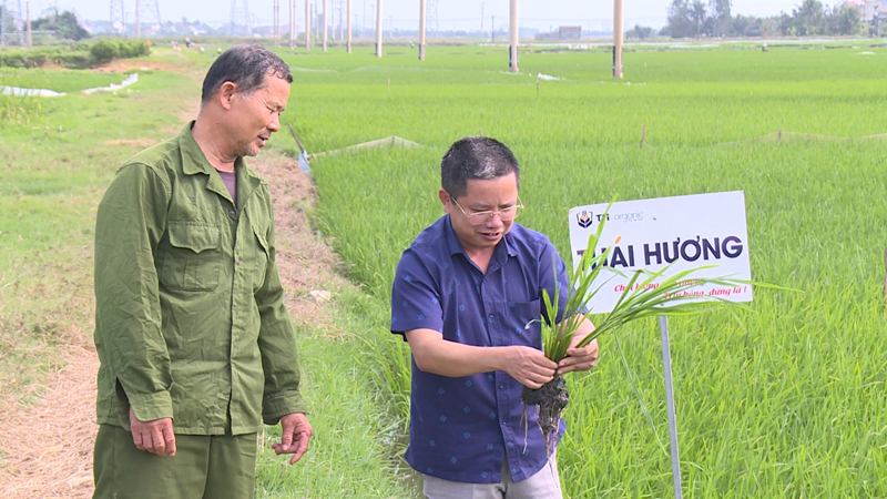 Giải thưởng khoa học và công nghệ lan tỏa tinh thần đổi mới sáng tạo