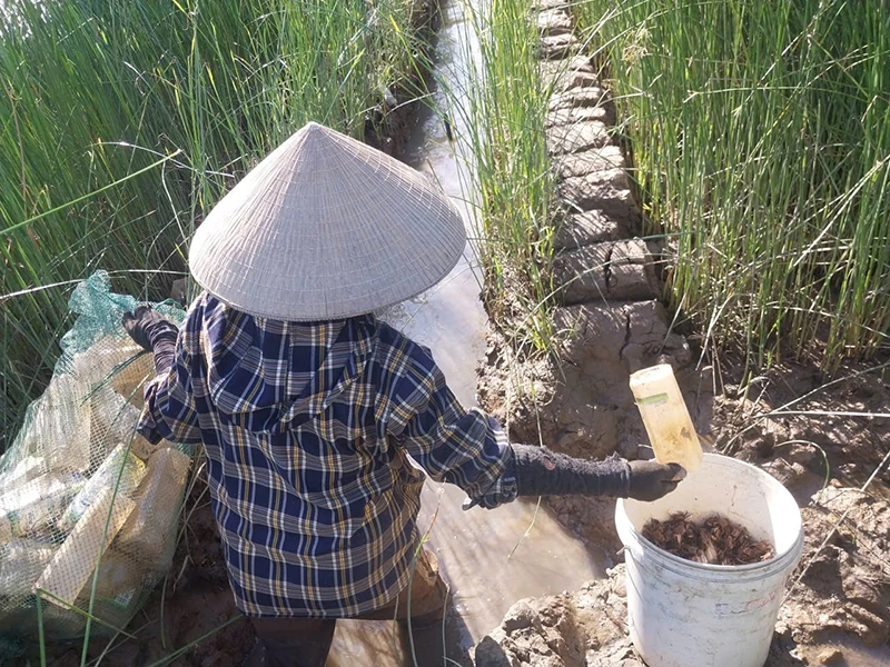 “Lộc trời”