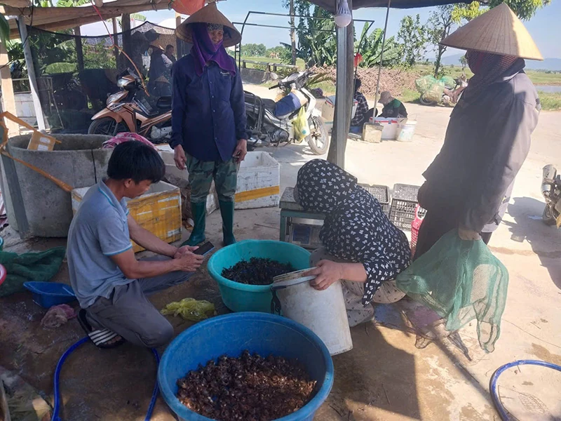 “Lộc trời”