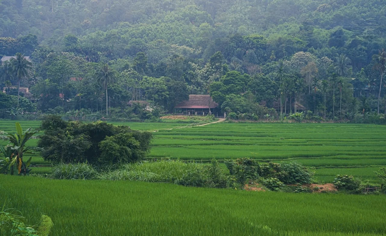 Cần phát huy giá trị dấu tích lịch sử Hội thề Lũng Nhai