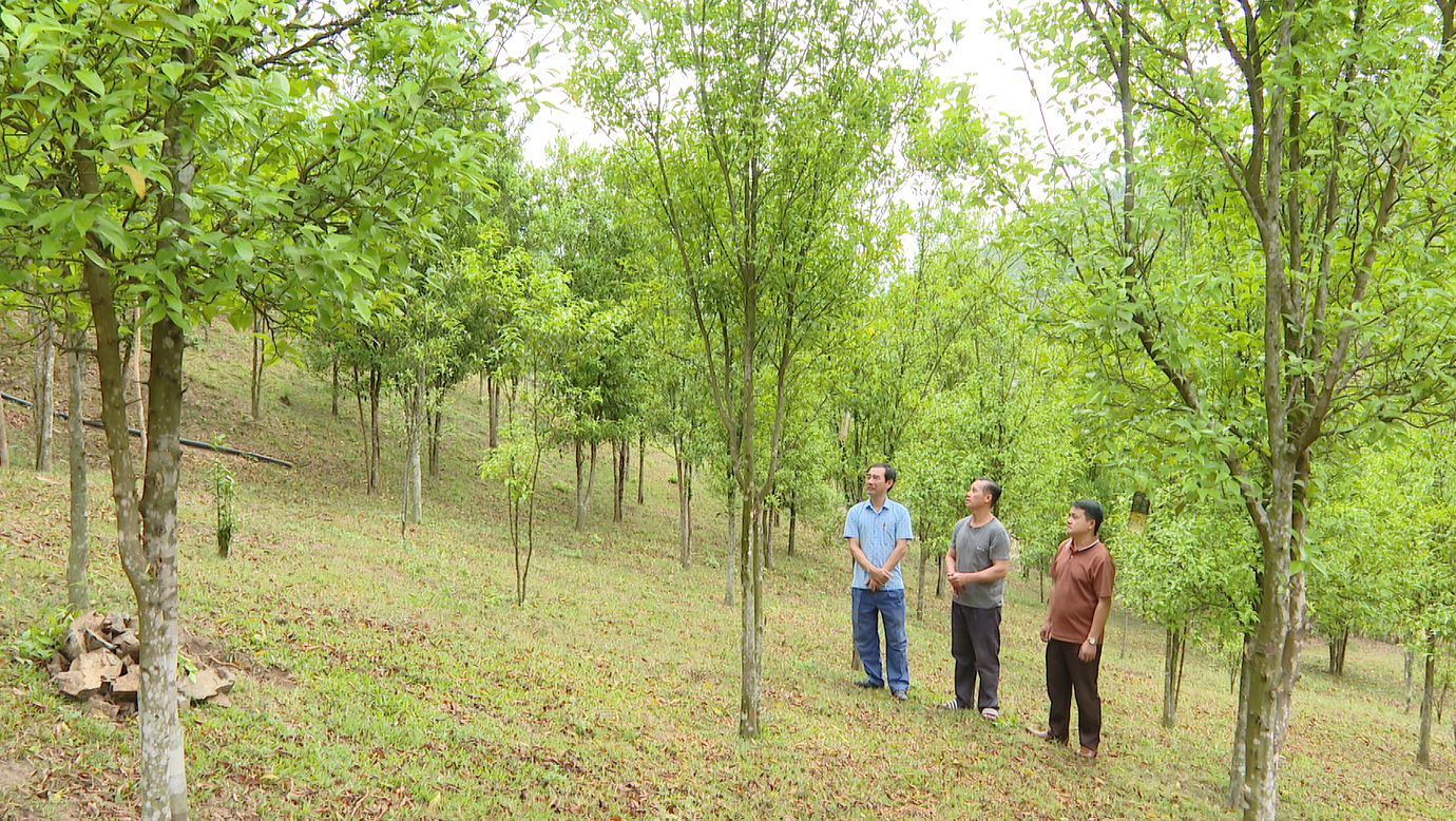 Những “nhạc trưởng” khơi nguồn xây dựng nông thôn mới ở thôn, bản vùng cao