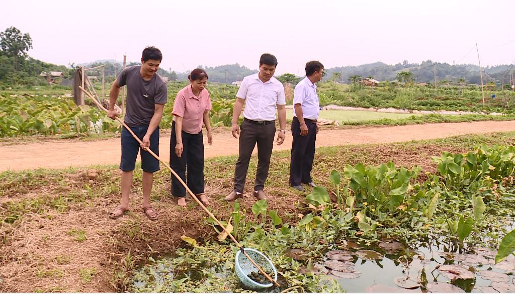 Nguyệt Ấn đa dạng hóa sinh kế, phát triển mô hình giảm nghèo