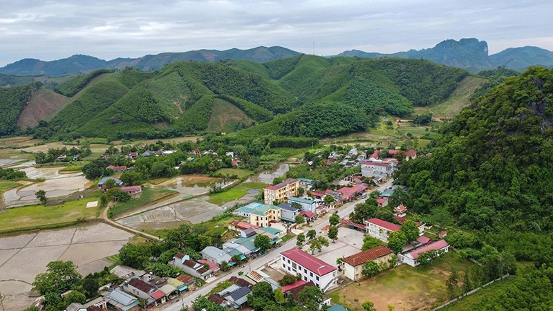 Màu xanh trên vùng đất Tân Thành