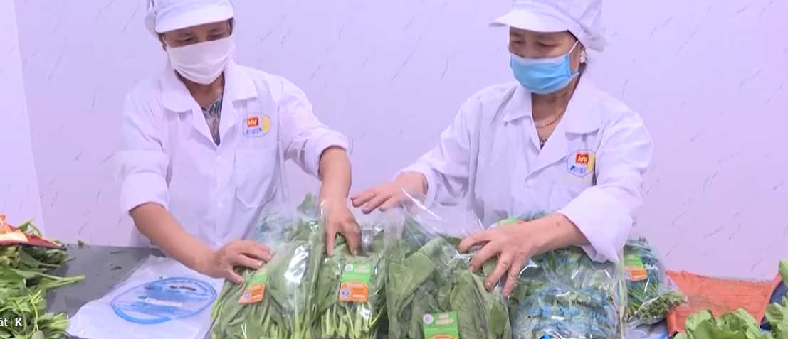 Danh thiếp số