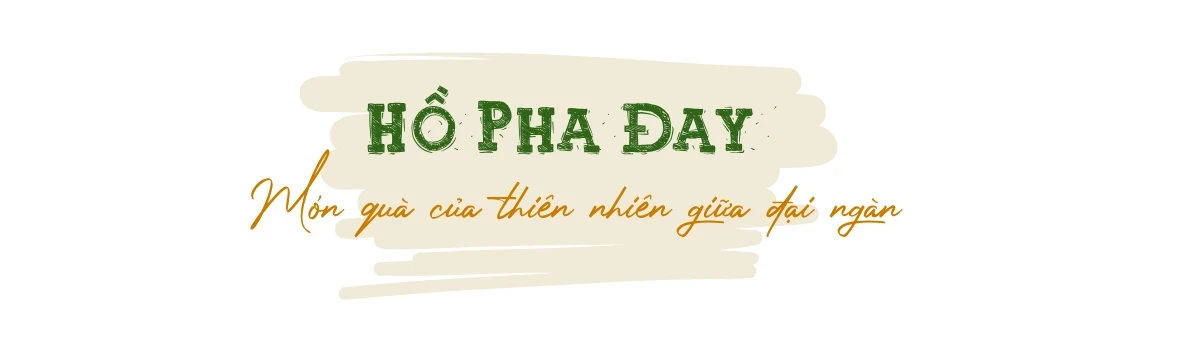 Trở lại Pha Đay