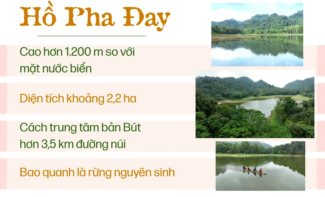 Trở lại Pha Đay