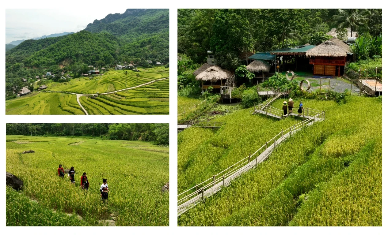 Trở lại Pha Đay