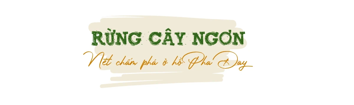 Trở lại Pha Đay