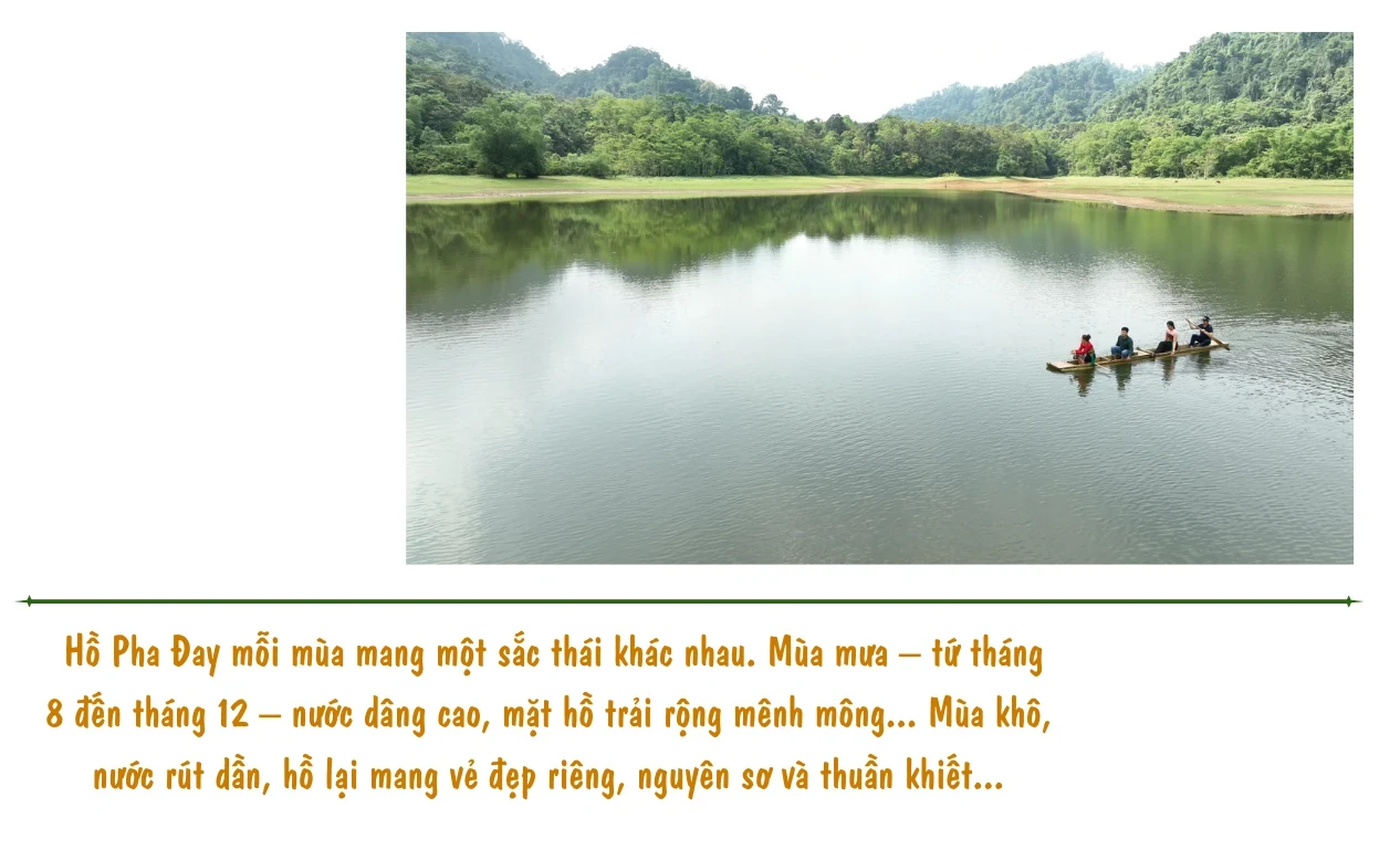 Trở lại Pha Đay